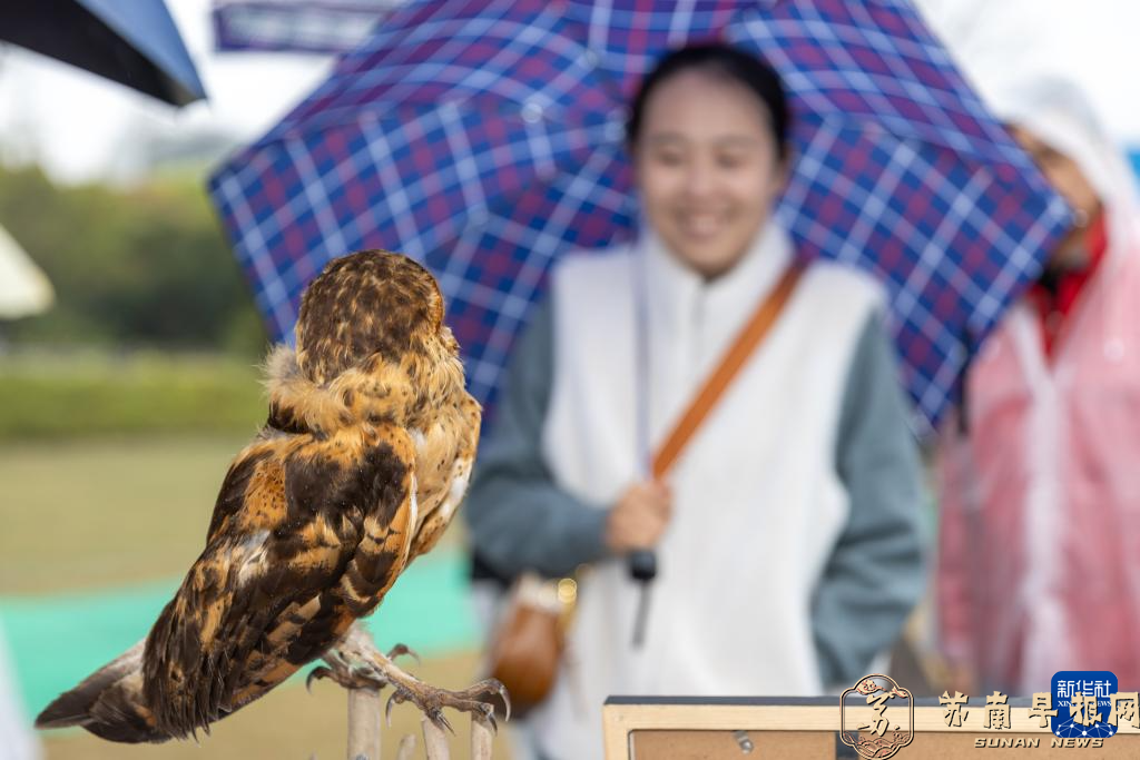 上海市第43届“爱鸟周”开幕