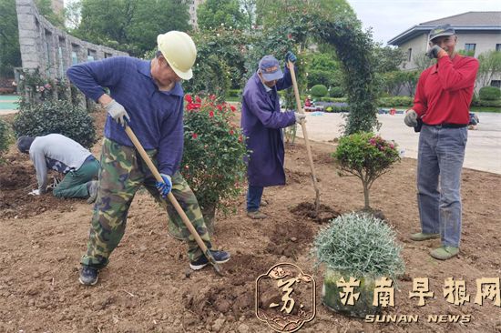 句容城管：崇明公园&ldquo;花样&rdquo;上新，这也太好拍了！