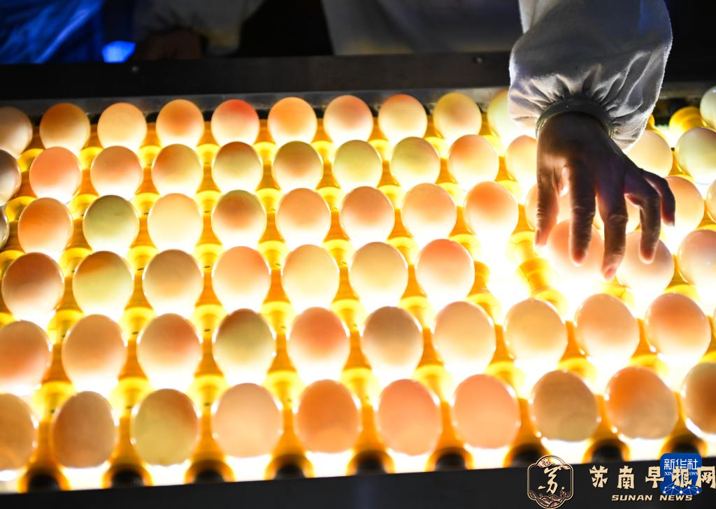 江苏高邮：小鸭蛋 大产业