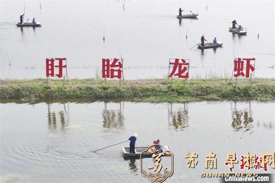 “龙虾之都”江苏盱眙：首网龙虾抢“鲜”上市3.jpg