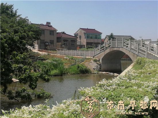 "千年古韵续新篇：镇江丁角村庙会再现传统盛况，古老村落焕发生机"