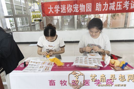 有趣且治愈的&ldquo;毛孩子们&rdquo;