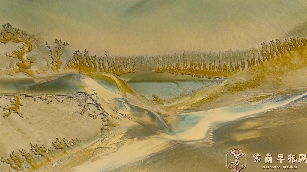 江苏东台：条子泥湿地现唯美“潮汐树”画卷