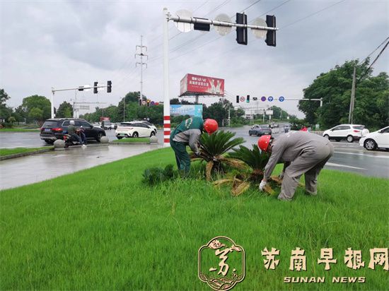 句容城管：绿化养护精细化 夏季修剪提&ldquo;颜值&rdquo;