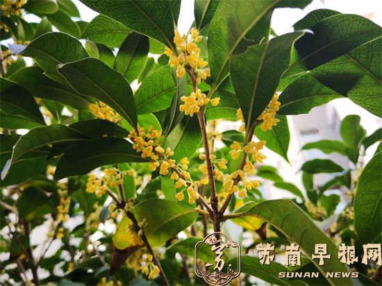 4e6d8f6c60d30eb4f9d22af1abec5a61.jpg A01.jpg