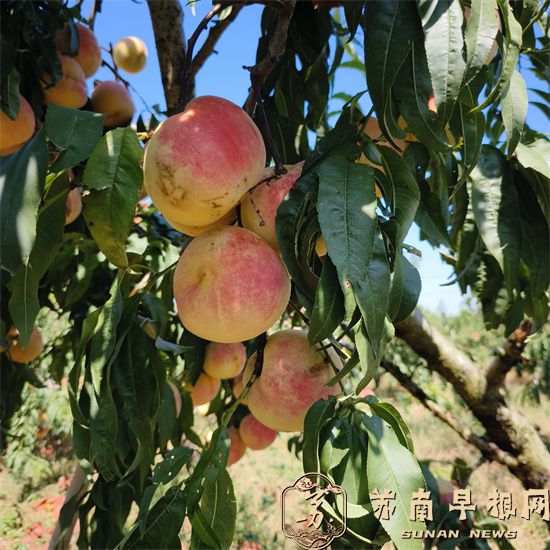 a662f66202e4e4357fdf24817fc07c99.jpg 12.jpg