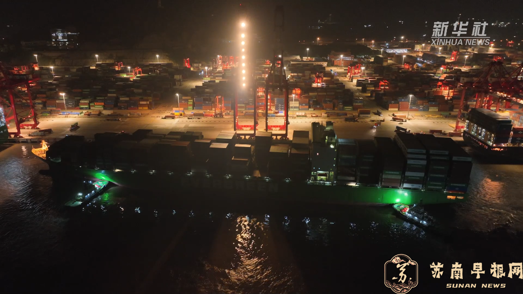 又一船进博会展品抵沪　秘鲁&ldquo;小羊驼&rdquo;来了