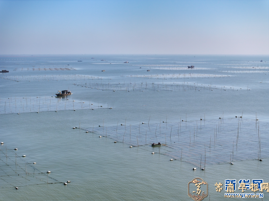 江苏连云港：&ldquo;海上菜园&rdquo;管护忙