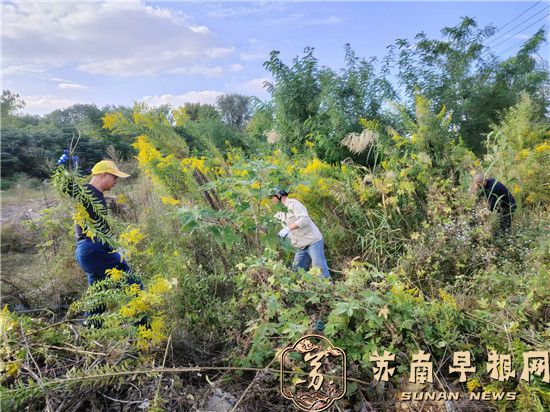 11e27cc2bc22d8932c46e3a16632ca42.jpg 微信图片_20241104163421.jpg