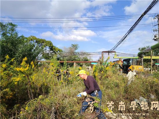 9ce78290d4bdc53681872da32463607c.jpg 微信图片_20241104163425.jpg