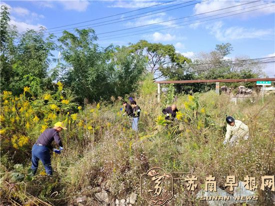 e5c81d881aacfcd23f1f221da5ce88a2.jpg 微信图片_20241104163423.jpg