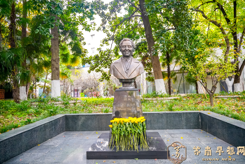 200余名中外人士徒步8.7公里寻访&ldquo;南京安全区&rdquo;