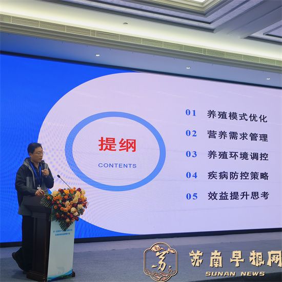 ff619490a8b216e1d34b522ce42de714.jpg 12.jpg