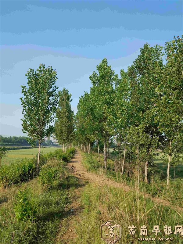 aa4a08588a871ec604f72c2da2f536c7.jpg 5.jpg