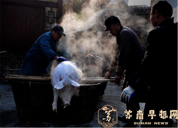 1.我们的节日——春节全国摄影 征稿作品公布606.png