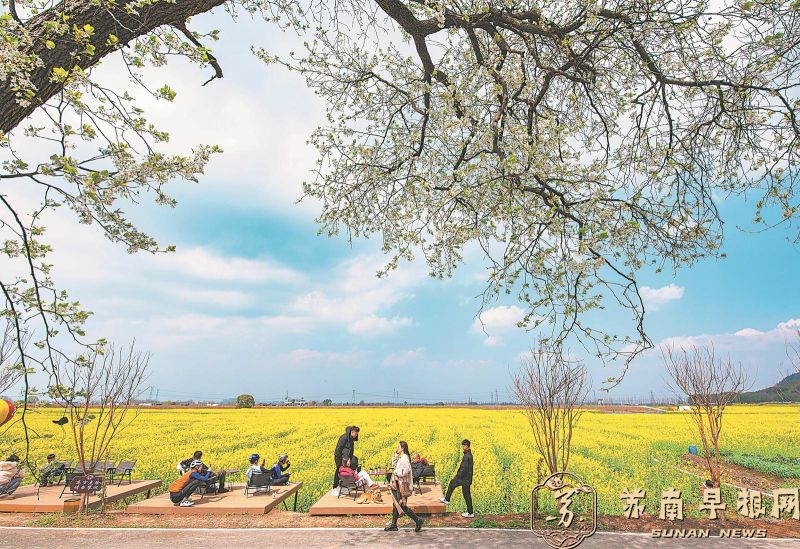 芜湖市：田园花开