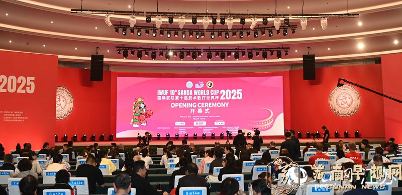 2025国际武联第十届武术散打世界杯在江苏江阴开幕