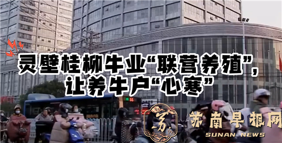 灵壁桂柳牛业有限公司怎么了？