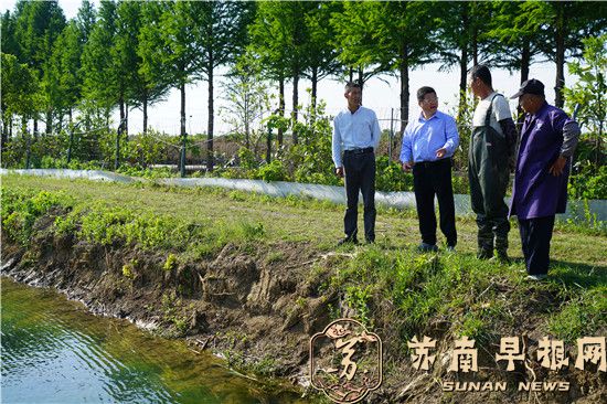 “稻虾共作、一田多收 ”——后白良种场探索 水稻生态绿色种养新模式
