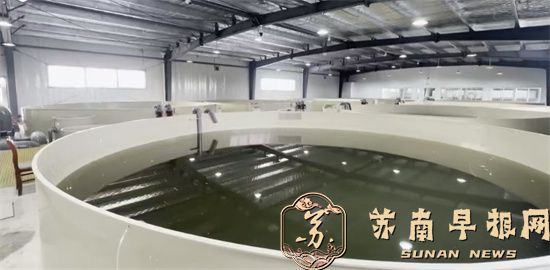 祝贺&ldquo;面向路基工厂化循环水养殖场景的鱼类多目标跟踪方法&rdquo;获得奖项