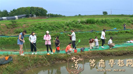 种养循环&ldquo;一田多收&rdquo; 小龙虾养殖年前栽草忙