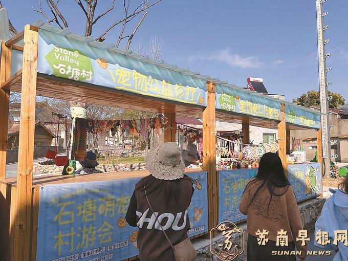 江苏多地探索宠物友好型乡村旅游&mdash;&mdash;在乡村，与&ldquo;毛孩子们&rdquo;一起撒欢！