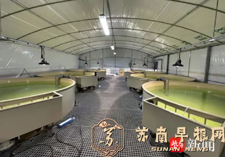 活水润春耕，苏州建行精准滴灌苗种供应与智慧农业