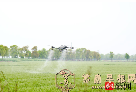 苏州市相城区黄桥街道:科技&ldquo;智&rdquo;控，麦田守望好收成