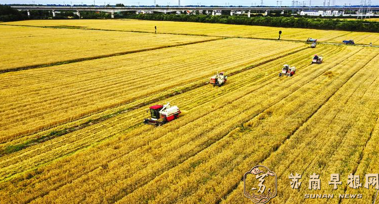 一季度我国粮油生产基础较好