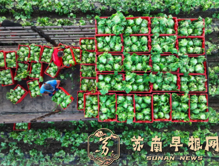 保持良好发展势头 一季度&ldquo;三农&rdquo;成绩单出炉