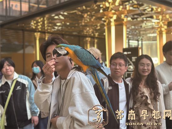 异宠出圈：小众爱好撑起百亿赛道