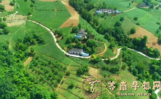 十年蝶变看&ldquo;丰收&rdquo;&mdash;&mdash;镇安县青铜关镇丰收村乡村振兴绘就新画卷