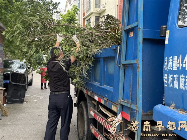 c966ff3a38ae6f4e1eadeb0cba8ceee1.jpg QQ图片20260603155735.jpg