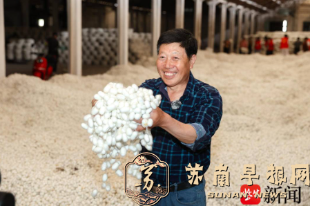 蚕农：今年养了8张春茧，收入3万元左右，心满意足！&ldquo;中国茧都&rdquo;江苏富安春蚕丰收破千吨！