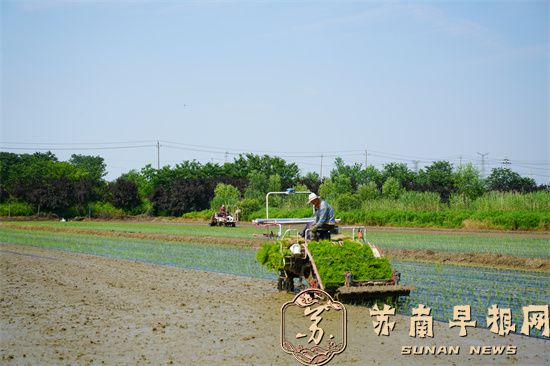 &ldquo;三夏&rdquo;收种忙 后白良种场种养循环换新装