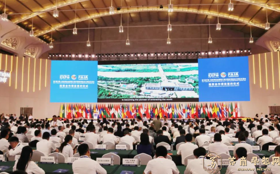 第10届南博会现场签约超257亿元能源项目