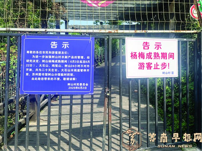 苏州树山杨梅季为何要全域封山？