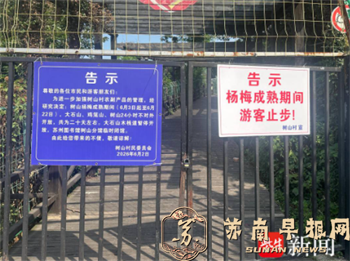 问政江苏 | 苏州树山杨梅季全域封山，引游客质疑 村委会：为兼顾果农收益与游客安全