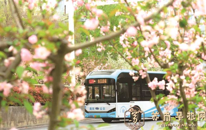 南京公交推出暑期优惠福利&mdash;&mdash;5.99元享购票日不限次乘车（船）