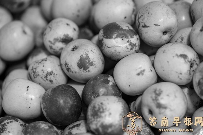 本该在秋风中上市的冬枣变身&ldquo;初夏枣&rdquo;  水果的&ldquo;季节时钟&rdquo;被谁拨快了？