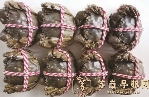 南京江北新区再添两个&ldquo;国字号&rdquo;品牌认证   