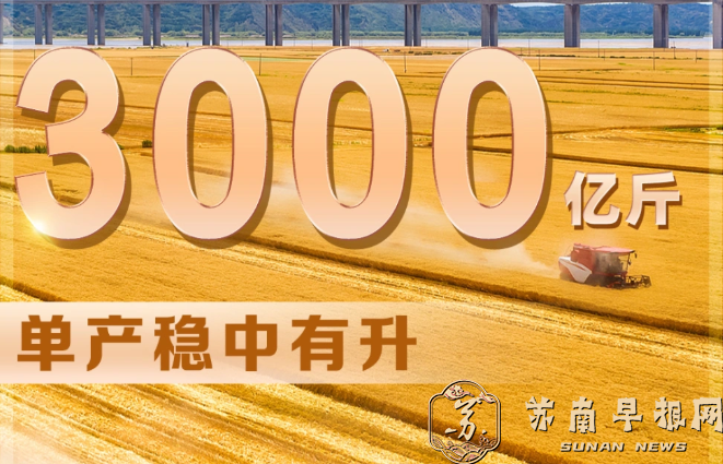 首次突破3000亿斤！今年全国夏粮实现丰收