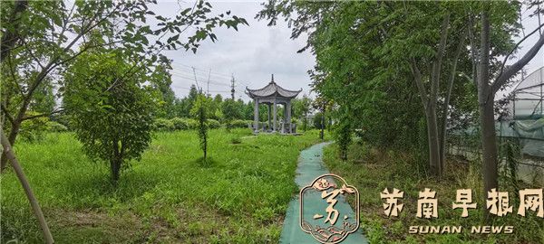 党建红引领生态绿 &mdash;&mdash;盐城市亭湖区南洋镇月青村扎实推进生态环境建设纪实