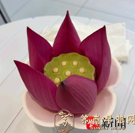 一支雪糕藏了整片荷塘！苏州荷花莲蓬文创雪糕售价最低19元，外地游客专程来打卡
