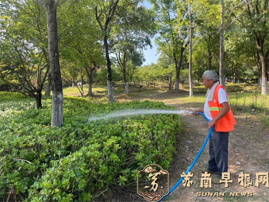 战高温 保绿植&mdash;&mdash;市园林中心全力开展城区抗旱保苗工作