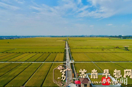 长江十年行｜记者被熏退、她却面不改色！80后女农人让万吨牛粪&ldquo;变废为宝&rdquo;