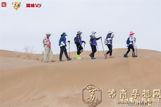 图片5.png