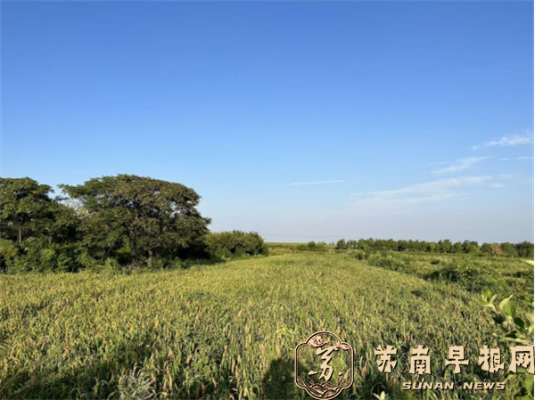 邯郸观岭山：一粒粟的大地新生