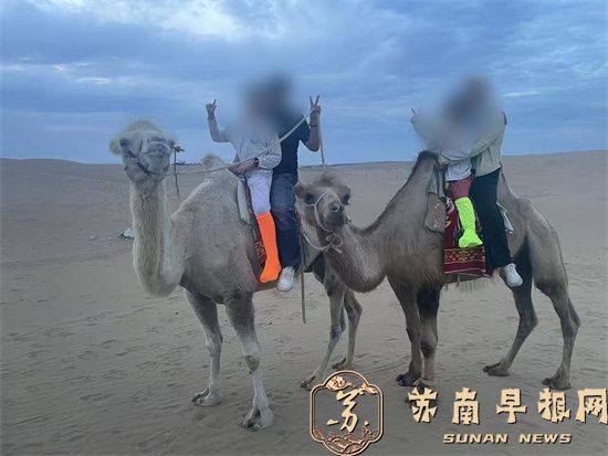 紫牛热点｜女子在沙漠体验骑骆驼时被甩出，致腰椎多处骨折，事后索赔遇难题