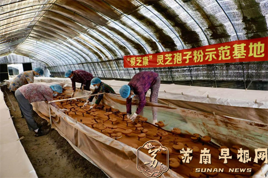 苏州贵夫人爱心灵芝园的&ldquo;灵性&rdquo;之美是客户至上